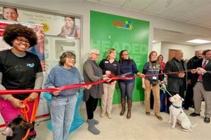 St. Louis City Animal Control: A Guide | My Caring Dog – Tips, Stories, and Care Guides for Loving Pet Owners