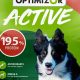 Active Care Dog Food | My Caring Dog – Tips, Stories, and Care Guides for Loving Pet Owners