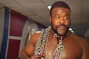 Beware: Junkyard Dog Car Accidents & Liability My Caring Dog – Tips, Stories, and Care Guides for Loving Pet Owners Beware: Junkyard Dog Car Accidents & Liability | My Caring Dog – Tips, Stories, and Care Guides for Loving Pet Owners