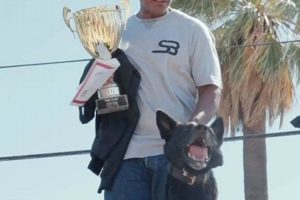 Top South Bay K9 Training for Car Dogs My Caring Dog – Tips, Stories, and Care Guides for Loving Pet Owners Top South Bay K9 Training for Car Dogs | My Caring Dog – Tips, Stories, and Care Guides for Loving Pet Owners