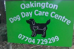 Best Oakington Dog Day Care | Top Kennels My Caring Dog – Tips, Stories, and Care Guides for Loving Pet Owners Best Oakington Dog Day Care | Top Kennels | My Caring Dog – Tips, Stories, and Care Guides for Loving Pet Owners