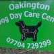 Best Oakington Dog Day Care | Top Kennels | My Caring Dog – Tips, Stories, and Care Guides for Loving Pet Owners