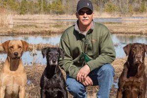 Top Bold Bay Retrievers for Car Adventures My Caring Dog – Tips, Stories, and Care Guides for Loving Pet Owners Top Bold Bay Retrievers for Car Adventures | My Caring Dog – Tips, Stories, and Care Guides for Loving Pet Owners