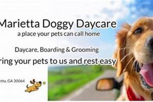 Top Dog Day Care in Marietta, GA My Caring Dog – Tips, Stories, and Care Guides for Loving Pet Owners Top Dog Day Care in Marietta, GA | My Caring Dog – Tips, Stories, and Care Guides for Loving Pet Owners