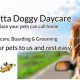 Top Dog Day Care in Marietta, GA | My Caring Dog – Tips, Stories, and Care Guides for Loving Pet Owners