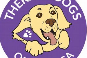 Best Therapy Dogs of America: Car Companions My Caring Dog – Tips, Stories, and Care Guides for Loving Pet Owners Best Therapy Dogs of America: Car Companions | My Caring Dog – Tips, Stories, and Care Guides for Loving Pet Owners