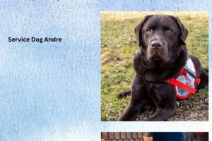 Best Autism Dog Services & Training My Caring Dog – Tips, Stories, and Care Guides for Loving Pet Owners Best Autism Dog Services & Training | My Caring Dog – Tips, Stories, and Care Guides for Loving Pet Owners