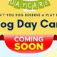 Top Dog Day Care in Geneva, IL: Best Options | My Caring Dog – Tips, Stories, and Care Guides for Loving Pet Owners