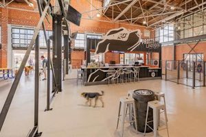 St. Louis Dog Pound: Adoptions & More | My Caring Dog – Tips, Stories, and Care Guides for Loving Pet Owners