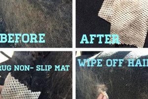 Easy Tricks: Dog Hair Out of Car Carpet Like a Pro My Caring Dog – Tips, Stories, and Care Guides for Loving Pet Owners Easy Tricks: Dog Hair Out of Car Carpet Like a Pro | My Caring Dog – Tips, Stories, and Care Guides for Loving Pet Owners