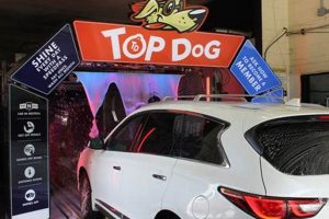 Top Dog Car Wash Oviedo: Best Wash in Town! My Caring Dog – Tips, Stories, and Care Guides for Loving Pet Owners Top Dog Car Wash Oviedo: Best Wash in Town! | My Caring Dog – Tips, Stories, and Care Guides for Loving Pet Owners