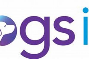 Best Car Accessories for Dogs Inc. My Caring Dog – Tips, Stories, and Care Guides for Loving Pet Owners Best Car Accessories for Dogs Inc. | My Caring Dog – Tips, Stories, and Care Guides for Loving Pet Owners