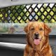 Best Dog Car Guards for Safe Pets at Home | My Caring Dog – Tips, Stories, and Care Guides for Loving Pet Owners
