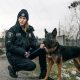 Police Dog Care: A Comprehensive Guide | My Caring Dog – Tips, Stories, and Care Guides for Loving Pet Owners