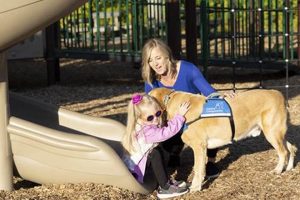 Best Dog Training: Canine Companions North Central | My Caring Dog – Tips, Stories, and Care Guides for Loving Pet Owners