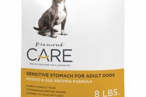 Best Diamond Care Sensitive Stomach Dog Food Reviews & Ratings | My Caring Dog – Tips, Stories, and Care Guides for Loving Pet Owners