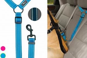 Best Dog Leash for Car: Safe Travel Gear My Caring Dog – Tips, Stories, and Care Guides for Loving Pet Owners Best Dog Leash for Car: Safe Travel Gear | My Caring Dog – Tips, Stories, and Care Guides for Loving Pet Owners