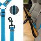 Best Dog Leash for Car: Safe Travel Gear | My Caring Dog – Tips, Stories, and Care Guides for Loving Pet Owners