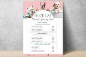 Understanding Dog Care Prices & Costs My Caring Dog – Tips, Stories, and Care Guides for Loving Pet Owners Understanding Dog Care Prices & Costs | My Caring Dog – Tips, Stories, and Care Guides for Loving Pet Owners
