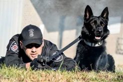 Top K9 Training Jobs: Find Your Dream K9 Career | My Caring Dog – Tips, Stories, and Care Guides for Loving Pet Owners