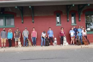 Top-Notch Dana's Dog Care Services My Caring Dog – Tips, Stories, and Care Guides for Loving Pet Owners Top-Notch Dana's Dog Care Services | My Caring Dog – Tips, Stories, and Care Guides for Loving Pet Owners