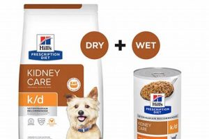 Best Kidney Care Dry Dog Food for Renal Support | My Caring Dog – Tips, Stories, and Care Guides for Loving Pet Owners