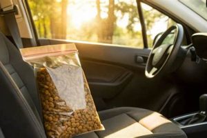 Can Dog Food Spoil in Hot Cars? Dangers & Safety | My Caring Dog – Tips, Stories, and Care Guides for Loving Pet Owners