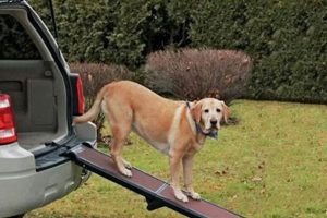 Pet Gear Dog Ramp For Car | My Caring Dog – Tips, Stories, and Care Guides for Loving Pet Owners