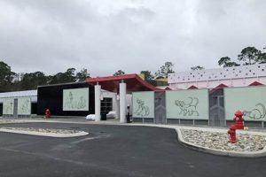 Ultimate Disney World Dog Care Guide My Caring Dog – Tips, Stories, and Care Guides for Loving Pet Owners Ultimate Disney World Dog Care Guide | My Caring Dog – Tips, Stories, and Care Guides for Loving Pet Owners