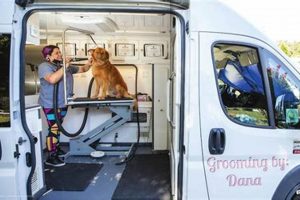 Pro Dog Grooming Car Service Near You | My Caring Dog – Tips, Stories, and Care Guides for Loving Pet Owners