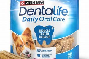 Best Oral Care for Dogs: Tips &amp; Tricks | My Caring Dog – Tips, Stories, and Care Guides for Loving Pet Owners