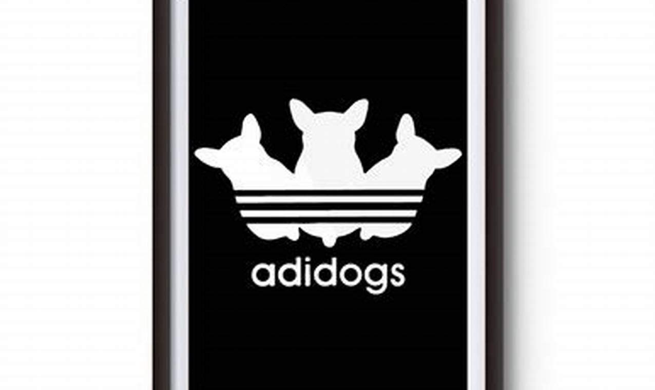 Top Adidogs Gear for Car Dogs | My Caring Dog – Tips, Stories, and Care Guides for Loving Pet Owners