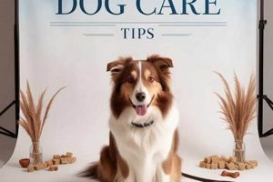 The Ultimate Guide: How to Care for a Dog Like a Pro My Caring Dog – Tips, Stories, and Care Guides for Loving Pet Owners The Ultimate Guide: How to Care for a Dog Like a Pro | My Caring Dog – Tips, Stories, and Care Guides for Loving Pet Owners