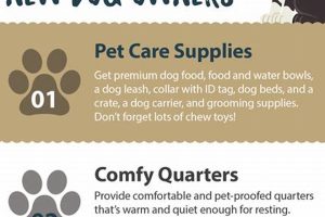 Expert Dog Care Tips & Tricks for Happy Pups | My Caring Dog – Tips, Stories, and Care Guides for Loving Pet Owners