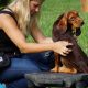 Become a Certified Dog Trainer: Career Guide | My Caring Dog – Tips, Stories, and Care Guides for Loving Pet Owners