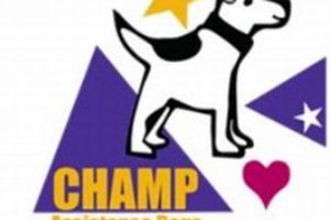 Champs Service Dogs: Best Trained Canine Helpers | My Caring Dog – Tips, Stories, and Care Guides for Loving Pet Owners