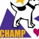Champs Service Dogs: Best Trained Canine Helpers | My Caring Dog – Tips, Stories, and Care Guides for Loving Pet Owners