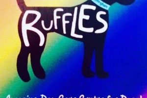 Best Ruffles Dog Day Care | Top Services | My Caring Dog – Tips, Stories, and Care Guides for Loving Pet Owners