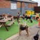 Top Dog Day Care Centres Near Me: Find the Best | My Caring Dog – Tips, Stories, and Care Guides for Loving Pet Owners