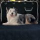 Best Car Trunk Covers For Dogs: SUV & Car | My Caring Dog – Tips, Stories, and Care Guides for Loving Pet Owners