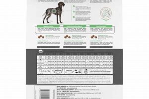 Best Royal Canin Digestive Care Dog Food for Large Breeds | My Caring Dog – Tips, Stories, and Care Guides for Loving Pet Owners