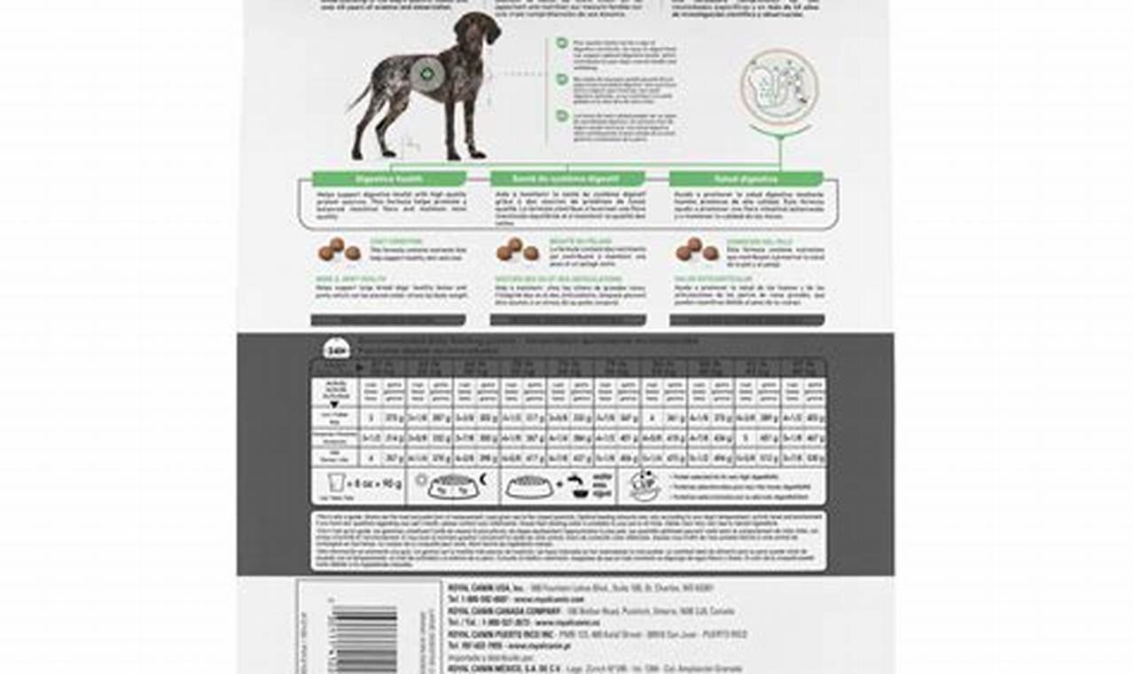 Best Royal Canin Digestive Care Dog Food for Large Breeds | My Caring Dog – Tips, Stories, and Care Guides for Loving Pet Owners