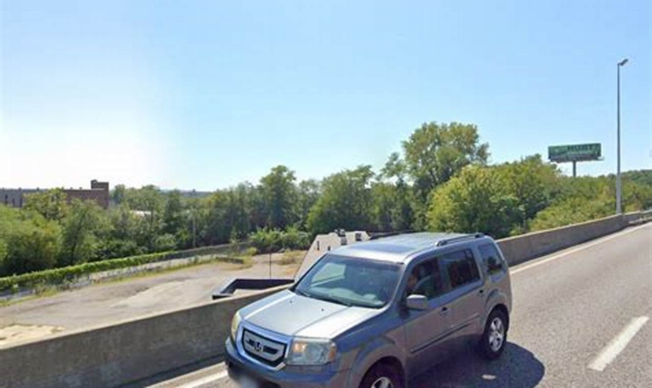 Best Animal Shelters in St. Louis: Adopt Today! | My Caring Dog – Tips, Stories, and Care Guides for Loving Pet Owners