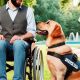 List Of Service Animals | My Caring Dog – Tips, Stories, and Care Guides for Loving Pet Owners
