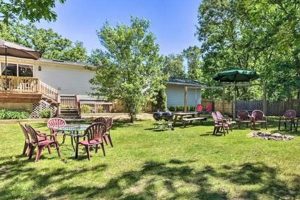 Top Dog Day Care in Wisconsin Dells, WI | My Caring Dog – Tips, Stories, and Care Guides for Loving Pet Owners