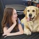 Best Heavy Duty Car Seat Covers For Dogs: Ultimate Guide | My Caring Dog – Tips, Stories, and Care Guides for Loving Pet Owners