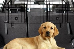 Top Mesh Car Dog Barriers for Safe Travel | My Caring Dog – Tips, Stories, and Care Guides for Loving Pet Owners
