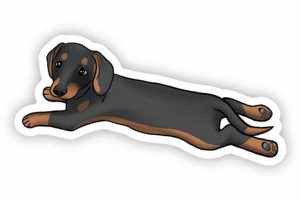 Cool Weiner Dog Stickers for Cars & Trucks My Caring Dog – Tips, Stories, and Care Guides for Loving Pet Owners Cool Weiner Dog Stickers for Cars & Trucks | My Caring Dog – Tips, Stories, and Care Guides for Loving Pet Owners