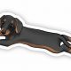 Cool Weiner Dog Stickers for Cars & Trucks | My Caring Dog – Tips, Stories, and Care Guides for Loving Pet Owners