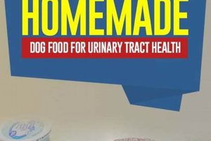 Best Homemade Dog Food for Urinary Care | My Caring Dog – Tips, Stories, and Care Guides for Loving Pet Owners
